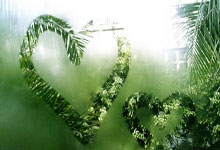 九游娱乐-清晨欧篮联焦点战，达拉斯独行侠遗憾出局，引发热议，心理建设被强调的简单介绍